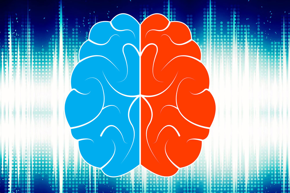 Studie: So teilt sich das Gehirn in die Arbeit beim Hören.