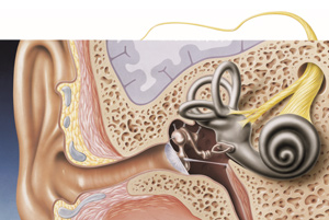 Hoersturztherapie Innenohr