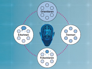 Oticon BrainHearing Hirnfunktionen